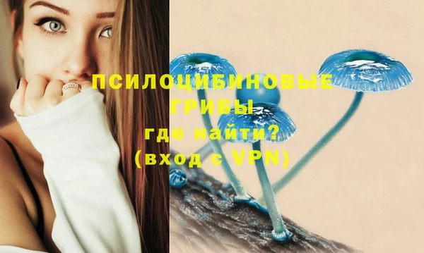 кокаин Дмитриев