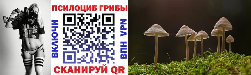 Псилоцибиновые грибы GOLDEN TEACHER Навашино